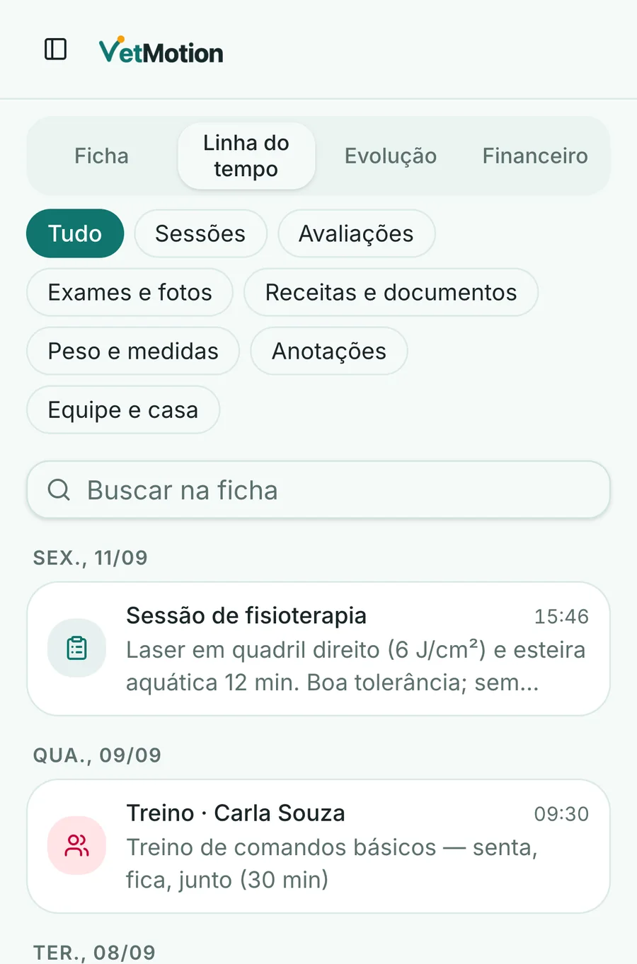 Linha do tempo do paciente: filtros, busca e os registros por data, com a sessão de fisioterapia e o treino feito pela equipe.