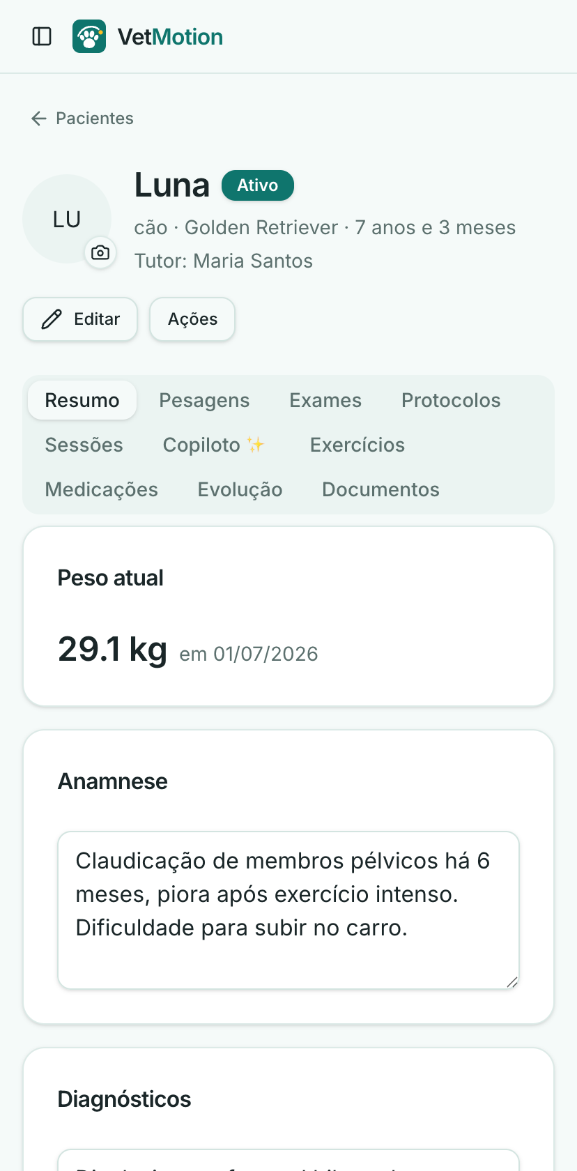 Ficha do paciente com peso, anamnese e diagnósticos